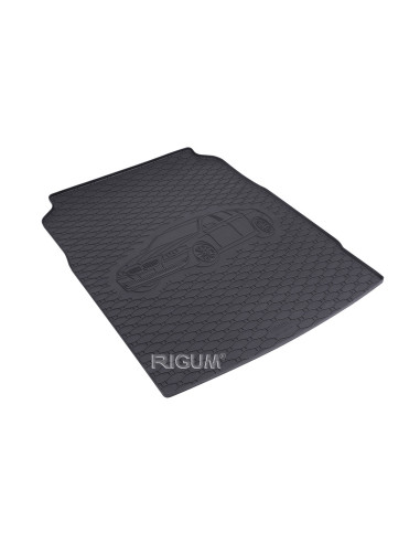 RIGUM Trunk rubber mat BMW 5 Series VI (F10) (2009-2017) 