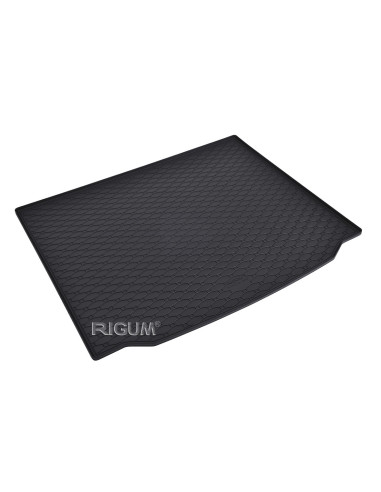 RIGUM Trunk rubber mat BMW X3 III (G01) (2017-...) 
