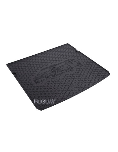 RIGUM Trunk rubber mat (4x2) Dacia Duster LPG II (HM) (2017-...) 