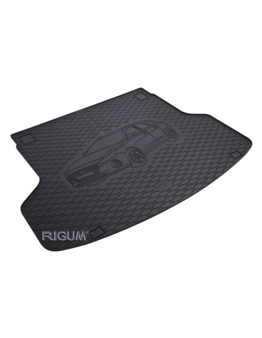 RIGUM Pagasimatt (universaal) (aasad põrandas/panipaigas) Hyundai i30 III (PD) (2019-...) 