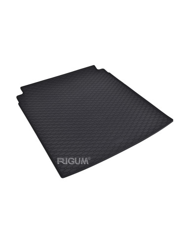 RIGUM Trunk rubber mat (sedan) Volkswagen Passat VII (B7) (2011-2015) 