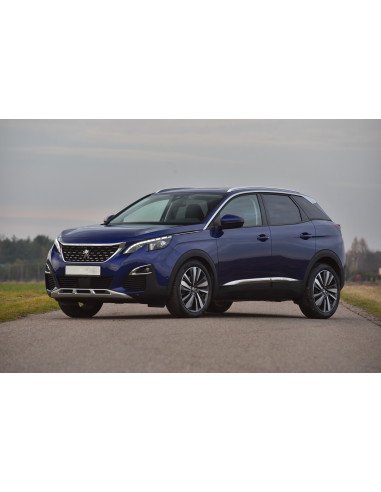 AVISA Tagumise kaitseraua kaitse Peugeot 3008 II (P84) (2016-…) 