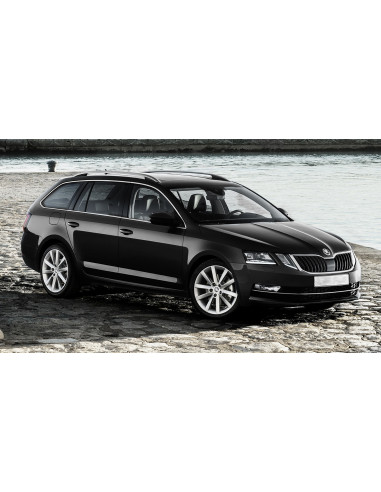 AVISA Защита заднего бампера (универсал) Skoda Octavia III (A7) (2016-2020) 