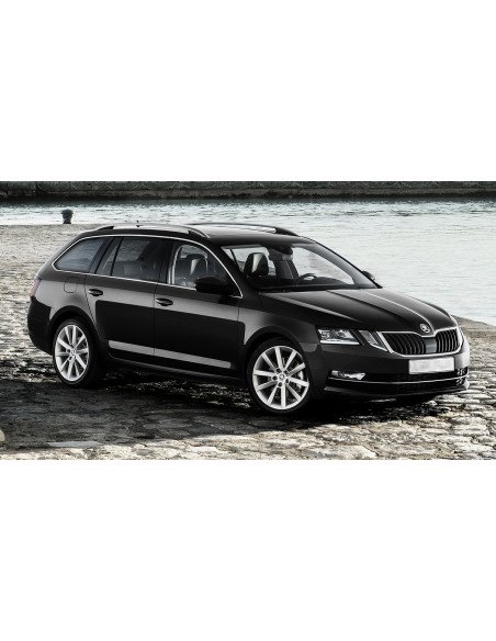 AVISA Защита заднего бампера (универсал) Skoda Octavia III (A7) (2016-2020) 
