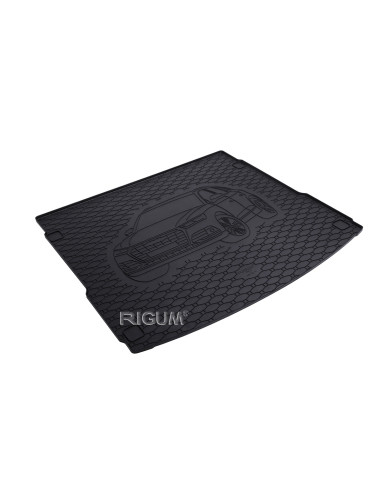 RIGUM Trunk rubber mat (fastback) (without interfloor) Hyundai i30 III (PD) (2018-2019) 