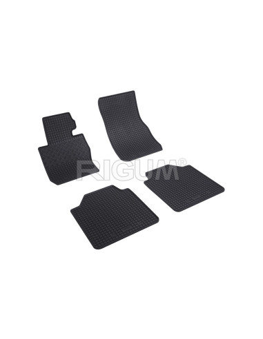 RIGUM Floor rubber mats BMW 3 Series VI (F34) (2011-2020) 